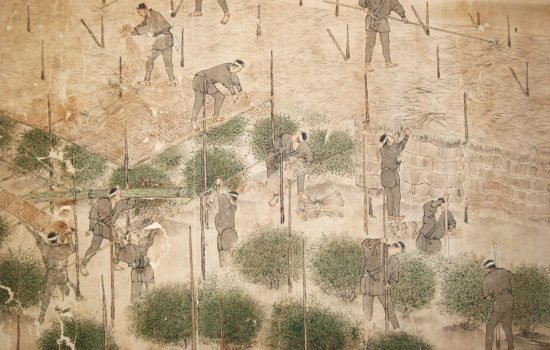 Historie Matcha - Ujicha